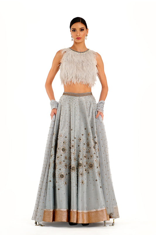 Blue Embroidered Lehenga with Feather detailed Blouse and Swiss Net Embroidered Dupatta