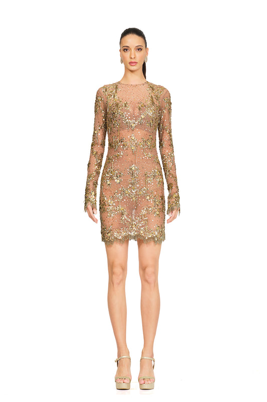 Gold sheer dress with embroidery