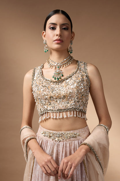 Embriodred Blouse with Beige printed lehenga