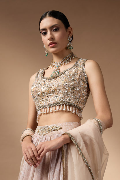 Embriodred Blouse with Beige printed lehenga
