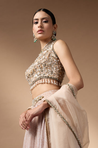 Embriodred Blouse with Beige printed lehenga
