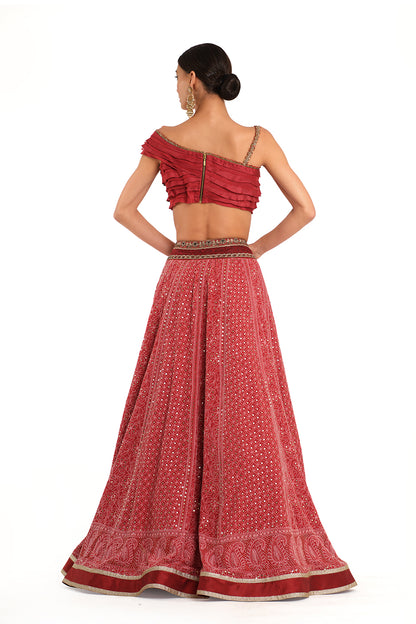 Embroidered Lehenga with Ruffle Blouse