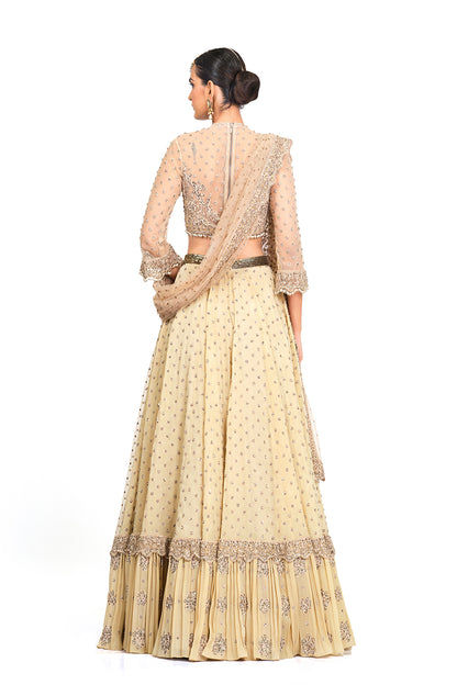 Beige Heavy Embroidered Lehenga with Dupatta