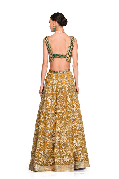 Embroidered Lehenga with Brocade Blouse.
