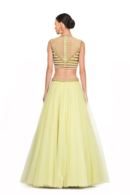 Tulle Lehenga with Tassel V-neck Blouse