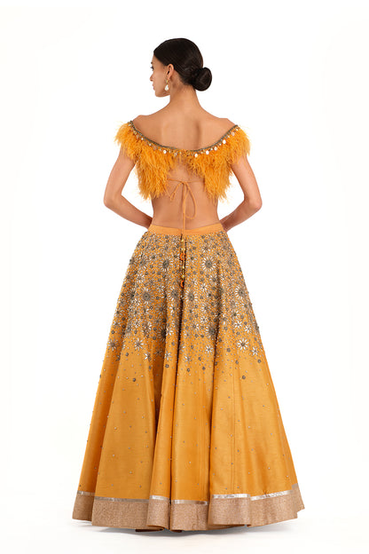 Orange Embroidered Lehenga with Feather detailed Blouse and Swiss Net Embroidered Dupatta