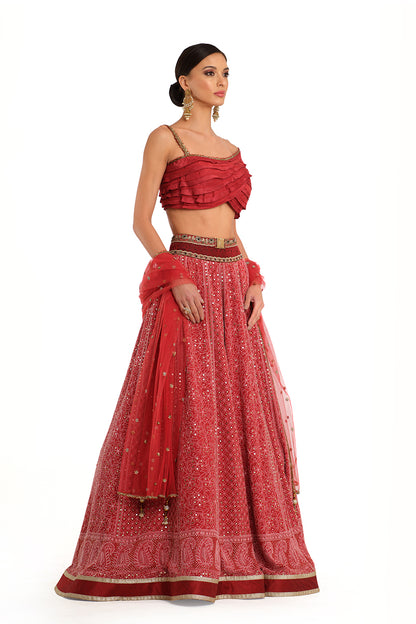 Embroidered Lehenga with Ruffle Blouse