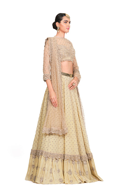 Beige Heavy Embroidered Lehenga with Dupatta