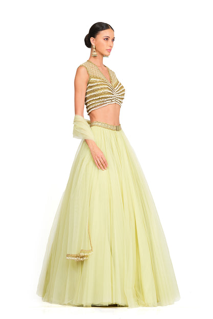 Tulle Lehenga with Tassel V-neck Blouse