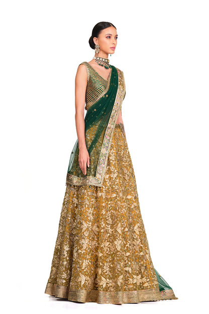Embroidered Lehenga with Brocade Blouse.