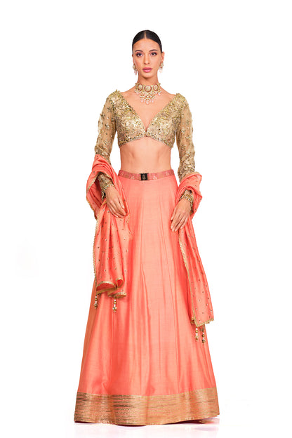 Silk Lehenga with Sequin Embroidered Blouse