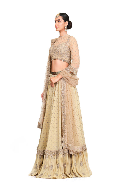 Beige Heavy Embroidered Lehenga with Dupatta