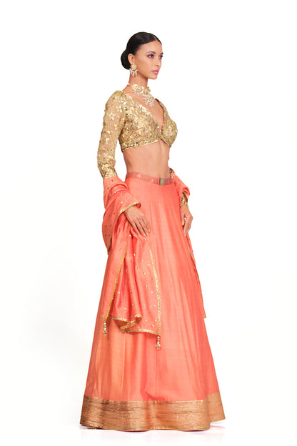 Silk Lehenga with Sequin Embroidered Blouse