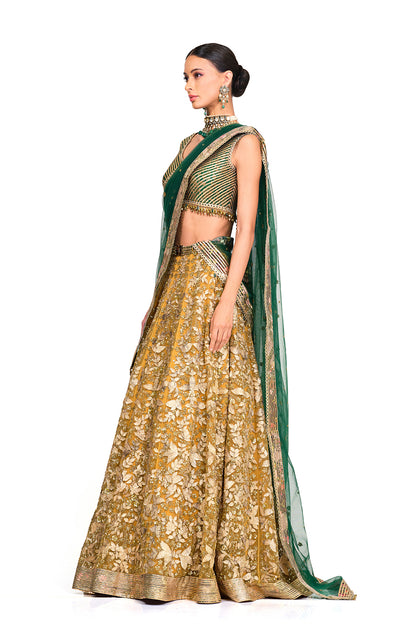 Embroidered Lehenga with Brocade Blouse.