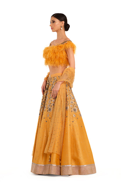 Orange Embroidered Lehenga with Feather detailed Blouse and Swiss Net Embroidered Dupatta