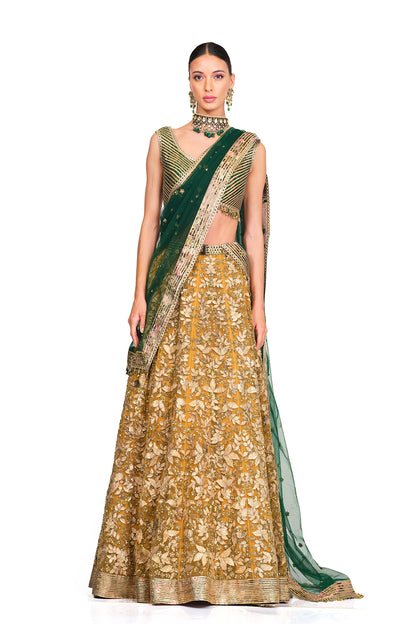 Embroidered Lehenga with Brocade Blouse.