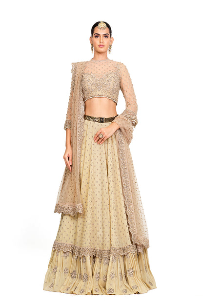 Beige Heavy Embroidered Lehenga with Dupatta