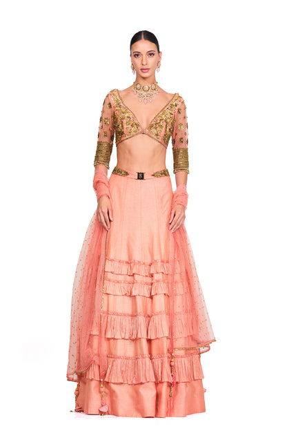 Silk Lehenga with Sequin Embroidered Blouse