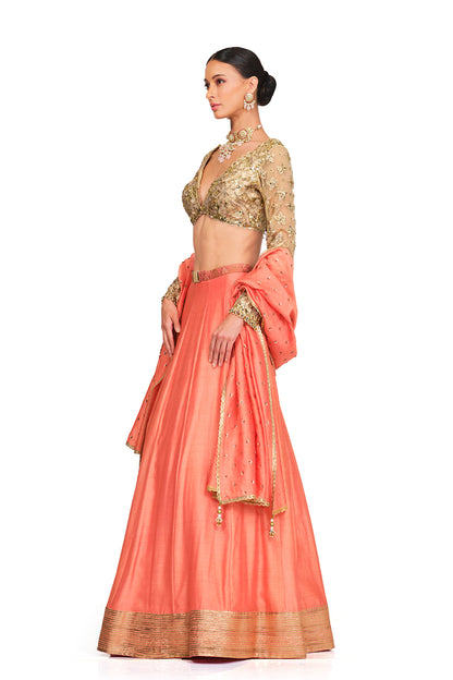 Silk Lehenga with Sequin Embroidered Blouse