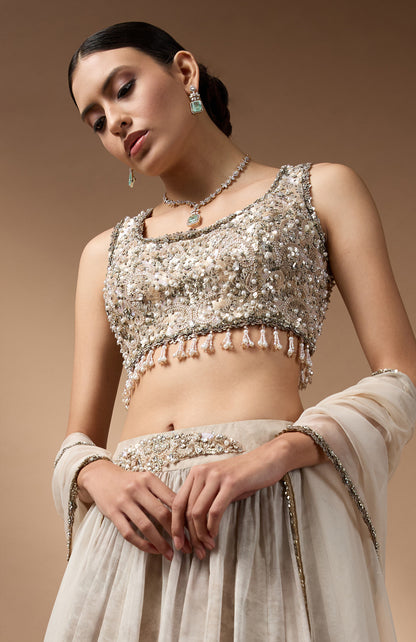 Embriodred Blouse with Light Grey printed lehenga