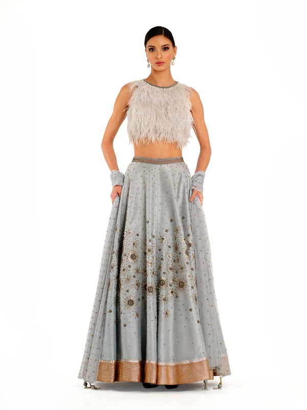 Blue Embroidered Lehenga with Feather detailed Blouse and Swiss Net Embroidered Dupatta