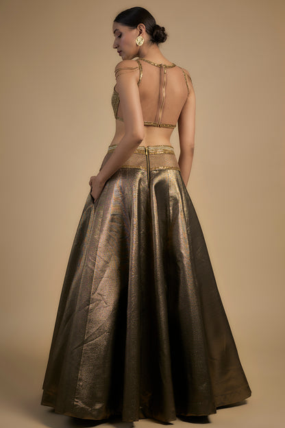 Antique Gold Lehenga with Embroidered V neck Blouse