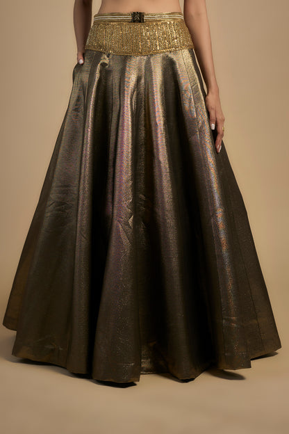 Antique Gold Lehenga with Embroidered V neck Blouse