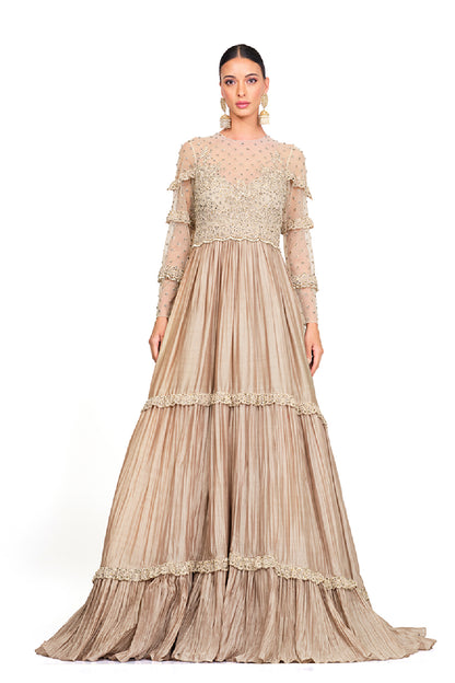 Embroidered full sleeve gown