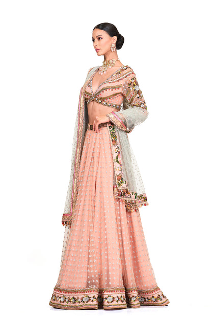 Hand Embroidered Lehenga with Dupatta
