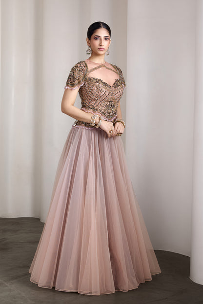 Pink sheer bodice gown