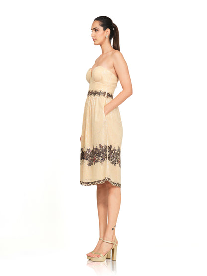 Overall Sequins Sweetheart Neck Dress With Embroidered Detailing