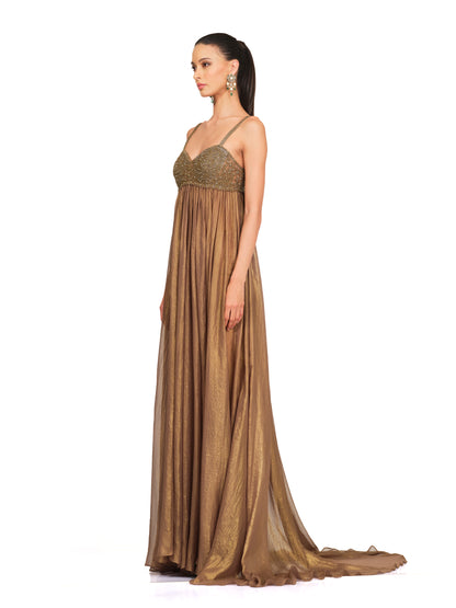 Embroidered Bust Metallic Gown