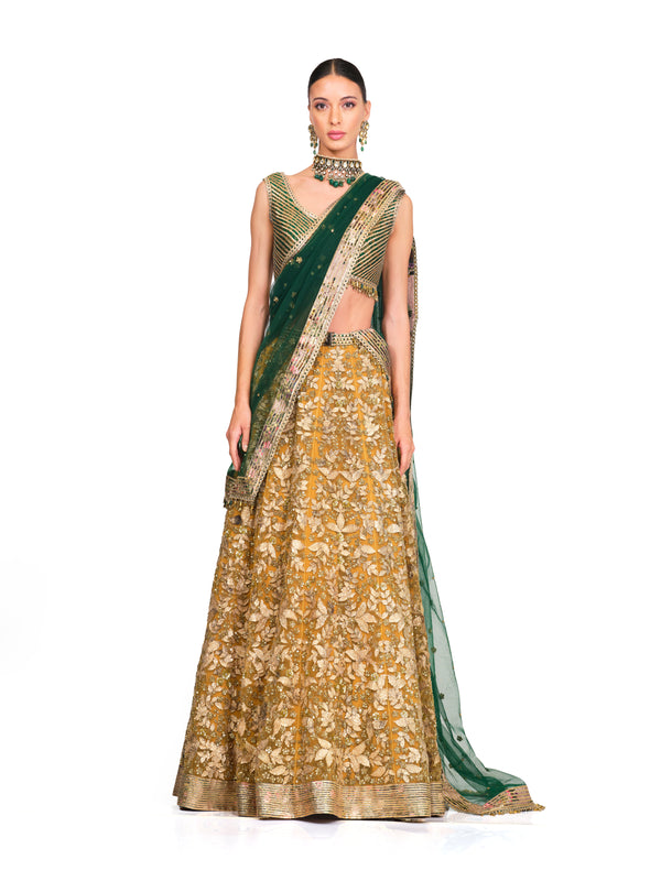 Embroidered Lehenga with Brocade Blouse.